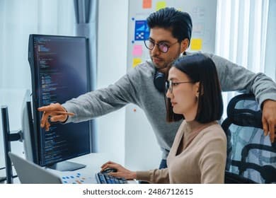 Professional developers discussing project